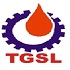 Topstream Global Solution Limited