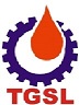 Topstream Global Solution Limited